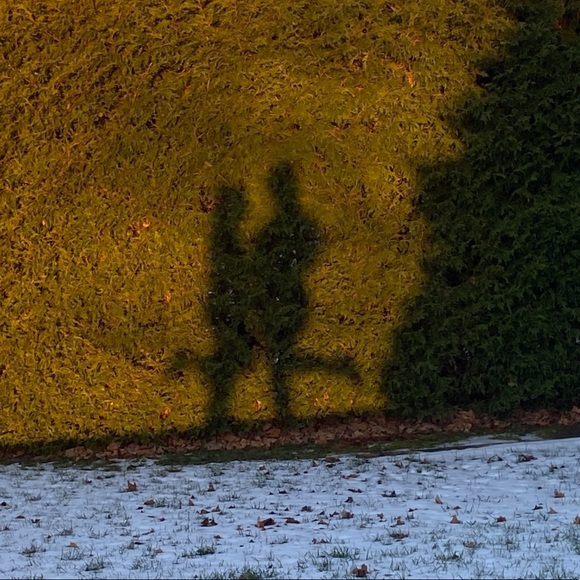 Meet your Posher, Charlotte - Picture 1 of 1